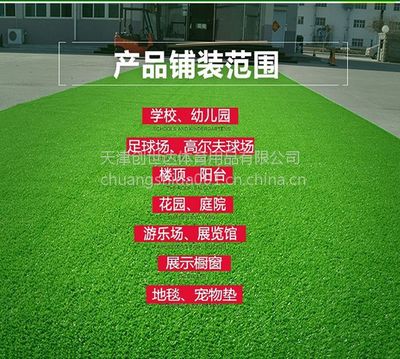 【草坪銷售,山東草坪