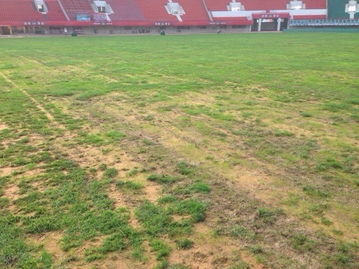 足協監督建業主場整改，工作組實地驗收體育場地鋪裝成果