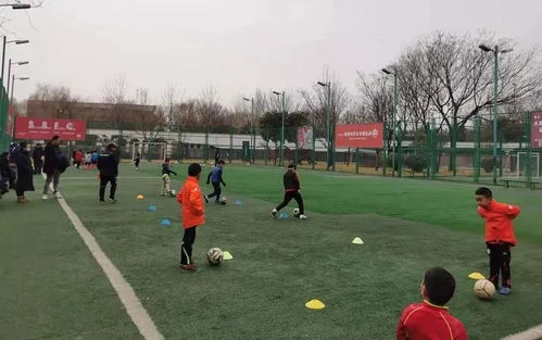 曲江運動場地指南 優(yōu)質(zhì)體育場地鋪裝推薦